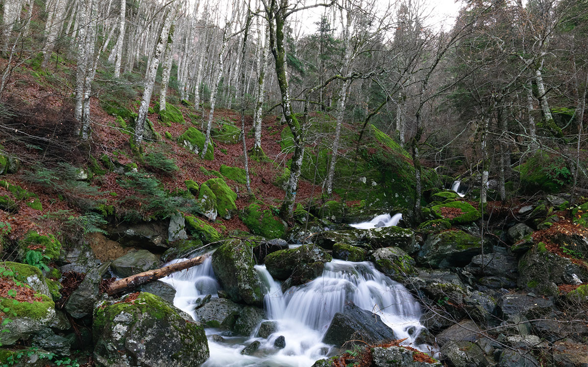 olympos-08-fix.jpg